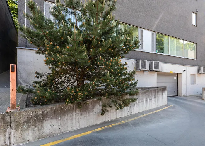 公寓 Your Dream Flat In The Centre + Free Parking 塔林