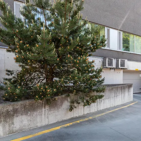 Apartament Your Dream Flat In The Centre + Free Parking Tallin